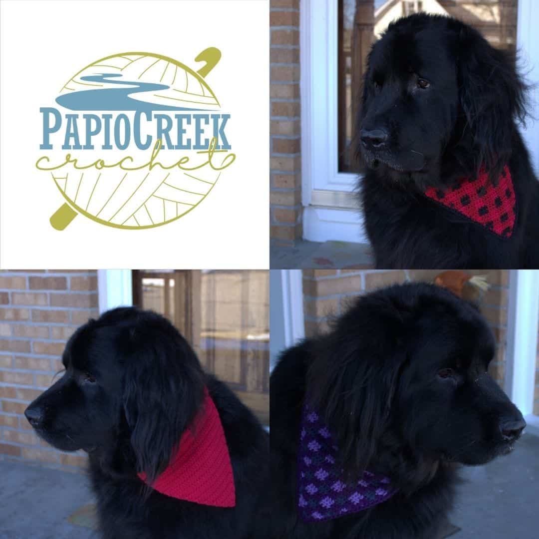 Newfoundland dog clearance bandana